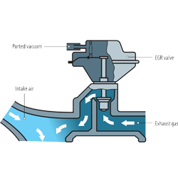 Elaborazione marchio Aston Martin, centralina Delphi, modello DWMLA30691489 EGR